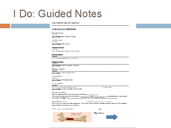 I Do: Guided Notes 