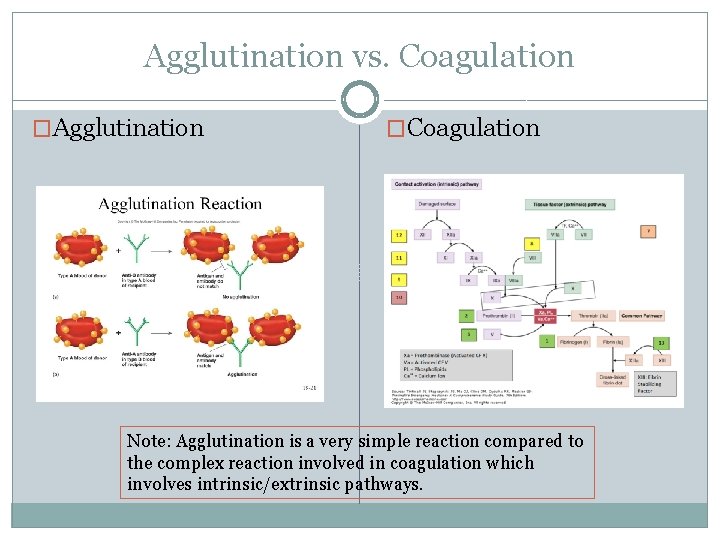 Agglutination vs. Coagulation �Agglutination �Coagulation Note: Agglutination is a very simple reaction compared to