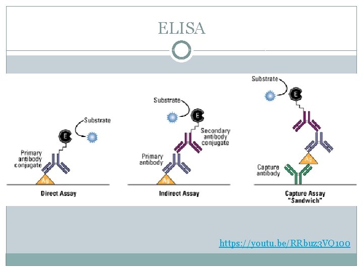 ELISA https: //youtu. be/RRbuz 3 VQ 100 