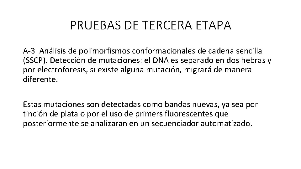 PRUEBAS DE TERCERA ETAPA A-3 Análisis de polimorfismos conformacionales de cadena sencilla (SSCP). Detección