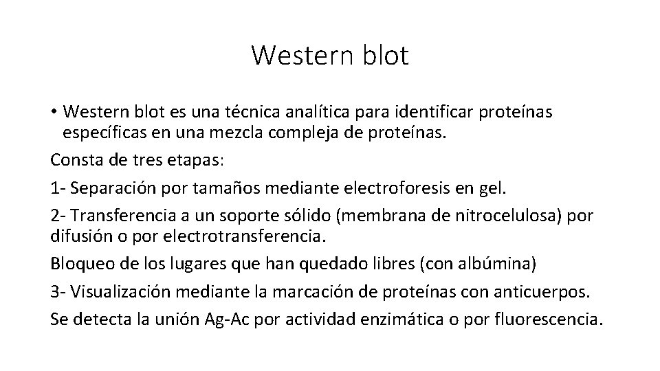 Western blot • Western blot es una técnica analítica para identificar proteínas específicas en