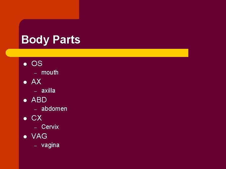 Body Parts l OS – l AX – l abdomen CX – l axilla