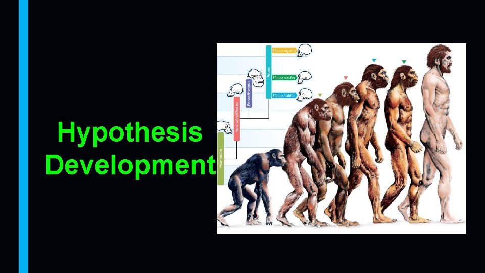 Hypothesis Development 