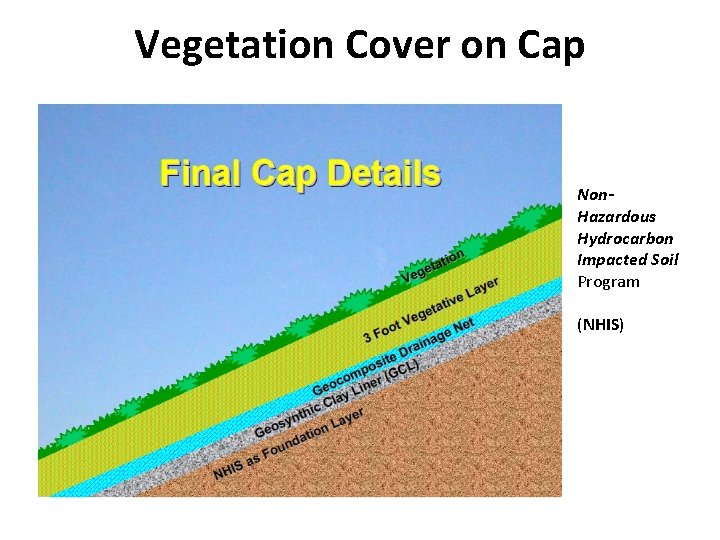 Vegetation Cover on Cap Non. Hazardous Hydrocarbon Impacted Soil Program (NHIS) 