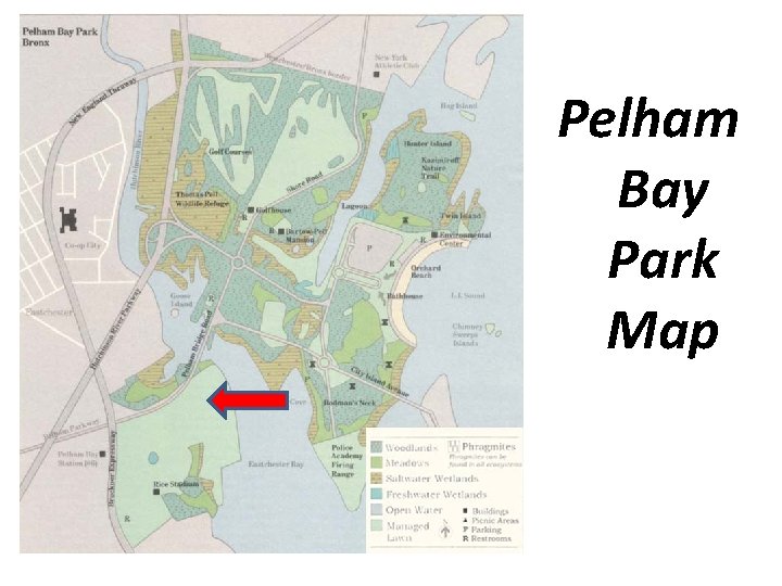 Pelham Bay Park Map 