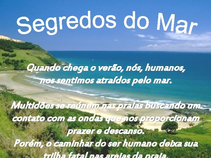 Quando chega o verão, nós, humanos, nos sentimos atraídos pelo mar. Multidões se reúnem