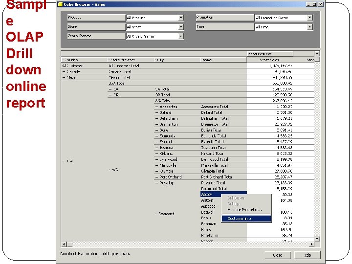 Sampl e OLAP Drill down online report 