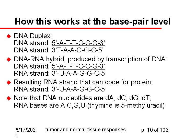 How this works at the base-pair level u u DNA Duplex: DNA strand: 5’-A-T-T-C-C-G-3’