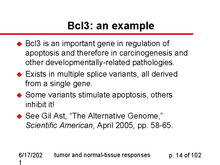 Bcl 3: an example u u Bcl 3 is an important gene in regulation