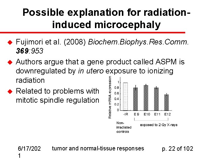 Possible explanation for radiationinduced microcephaly u u u Fujimori et al. (2008) Biochem. Biophys.