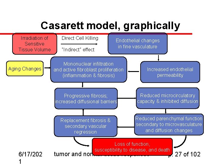 Casarett model, graphically Irradiation of Sensitive Tissue Volume Aging Changes 6/17/202 1 Direct Cell