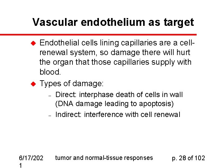 Vascular endothelium as target u u Endothelial cells lining capillaries are a cellrenewal system,