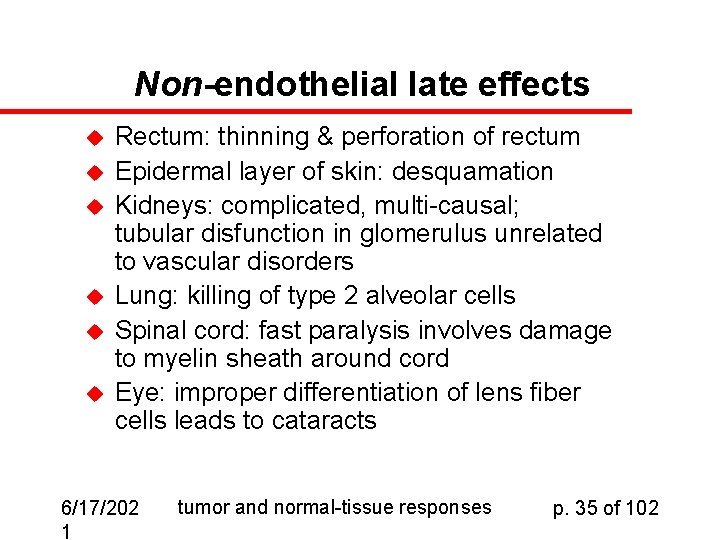 Non-endothelial late effects u u u Rectum: thinning & perforation of rectum Epidermal layer