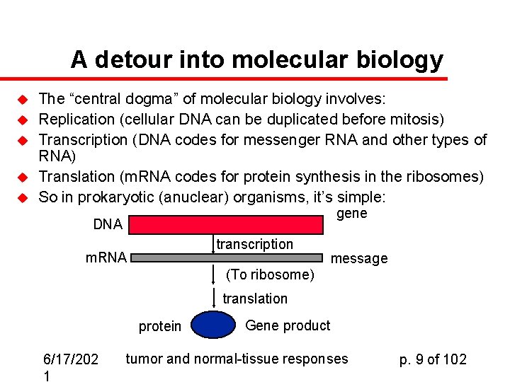A detour into molecular biology u u u The “central dogma” of molecular biology