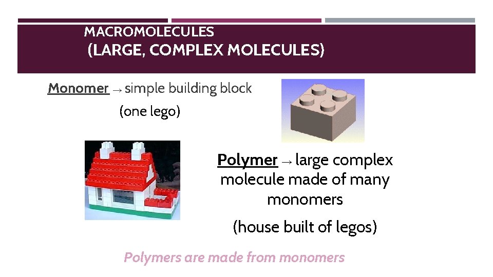 MACROMOLECULES (LARGE, COMPLEX MOLECULES) Monomer → simple building block (one lego) Polymer → large