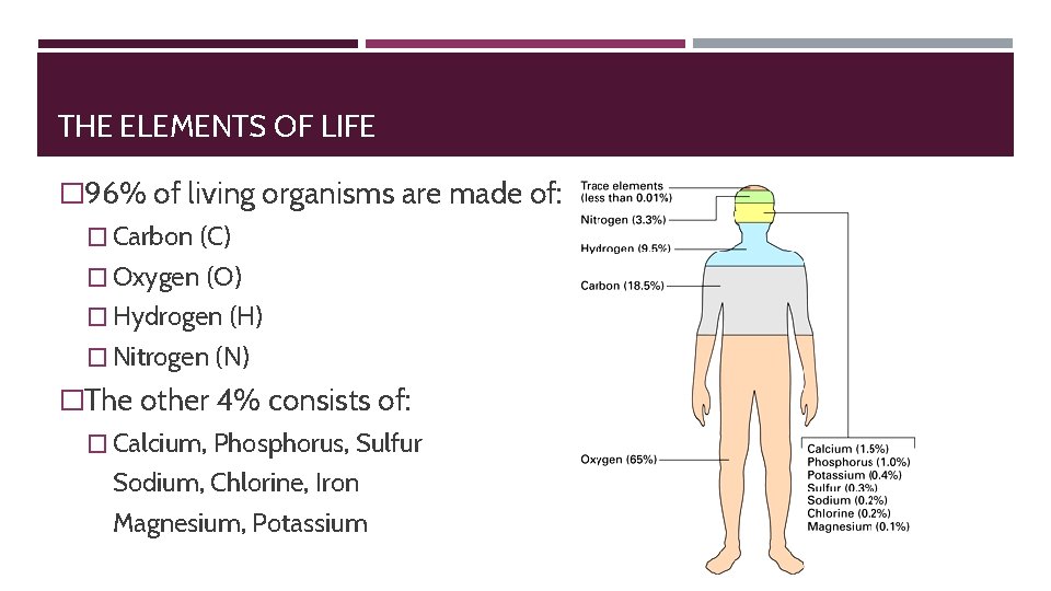 THE ELEMENTS OF LIFE � 96% of living organisms are made of: � Carbon