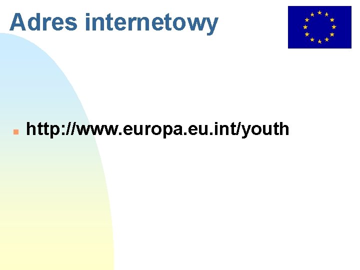Adres internetowy n http: //www. europa. eu. int/youth 