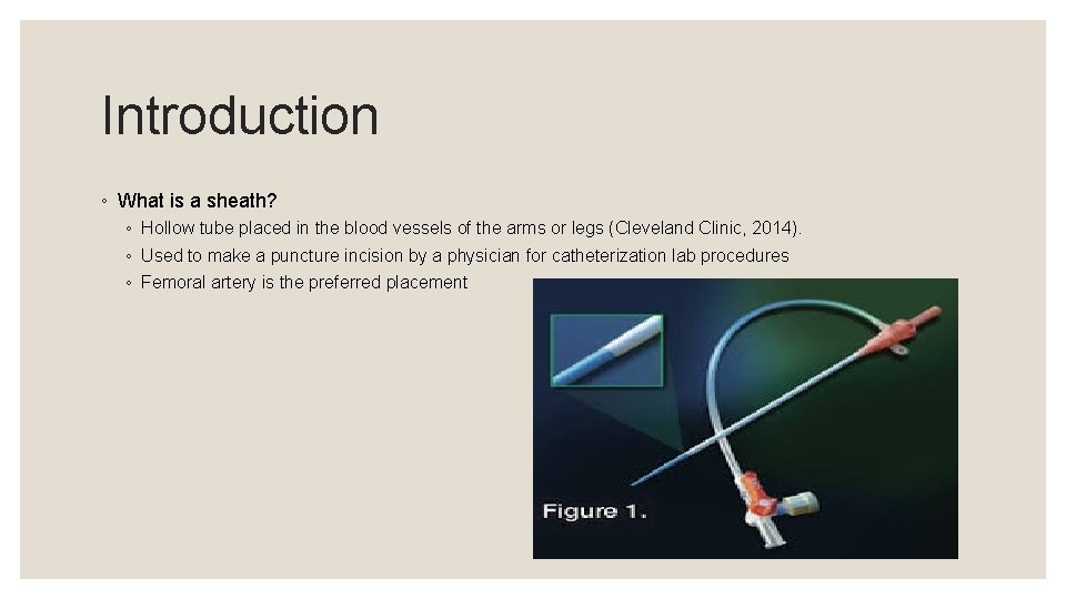 Introduction ◦ What is a sheath? ◦ Hollow tube placed in the blood vessels