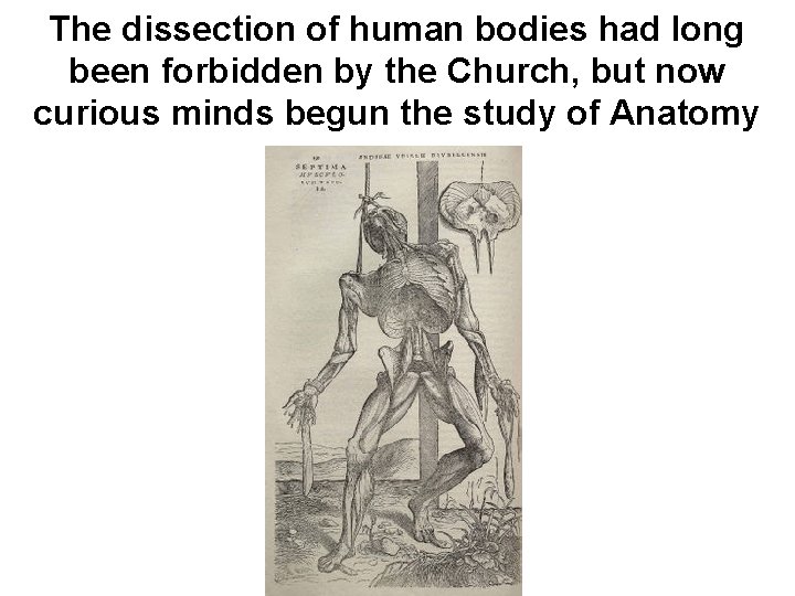 The dissection of human bodies had long been forbidden by the Church, but now