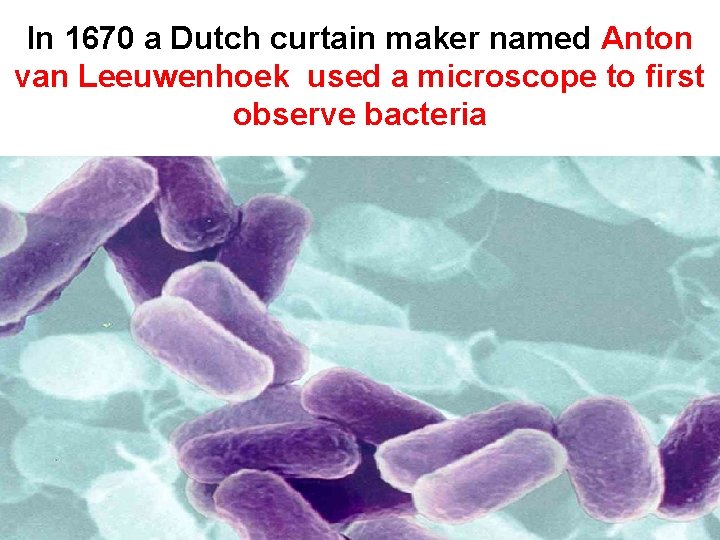 In 1670 a Dutch curtain maker named Anton van Leeuwenhoek used a microscope to