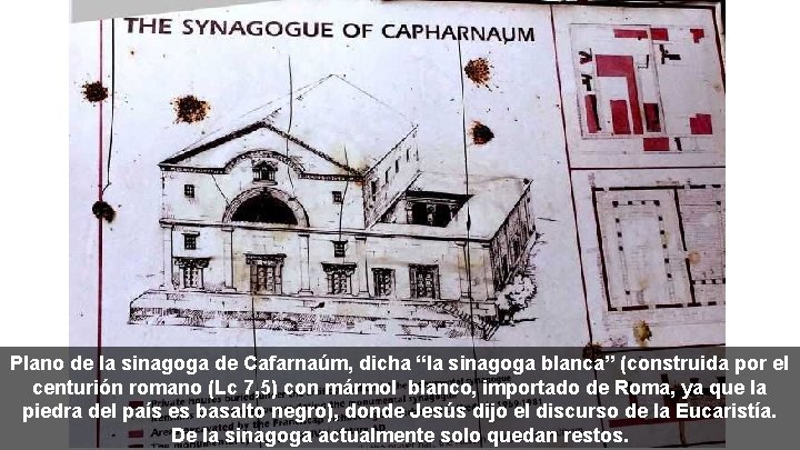 Plano de la sinagoga de Cafarnaúm, dicha “la sinagoga blanca” (construida por el centurión