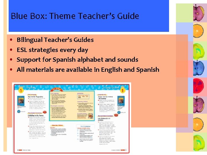 Blue Box: Theme Teacher’s Guide • • Bilingual Teacher’s Guides ESL strategies every day