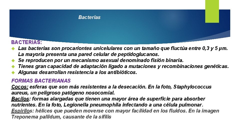 Bacterias BACTERIAS: Las bacterias son procariontes unicelulares con un tamaño que fluctúa entre 0,