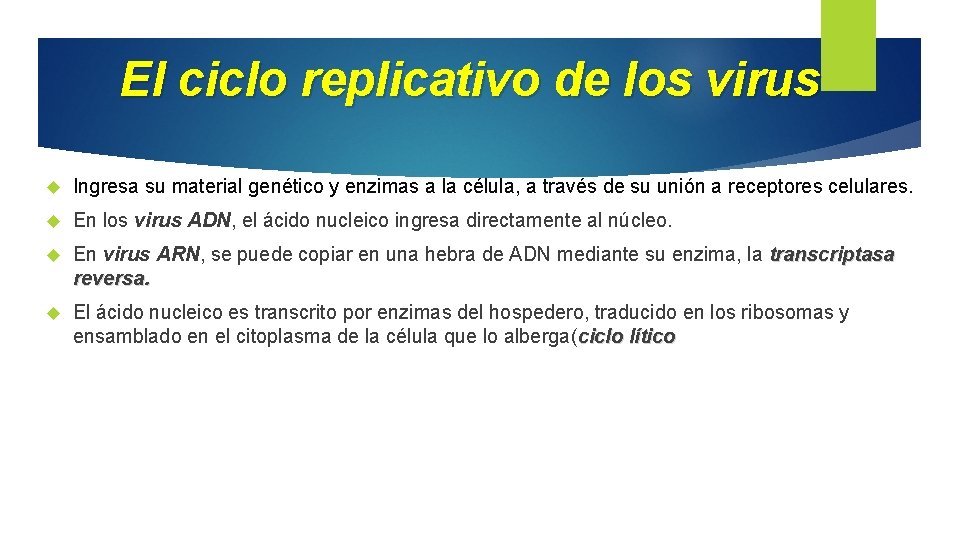 El ciclo replicativo de los virus Ingresa su material genético y enzimas a la