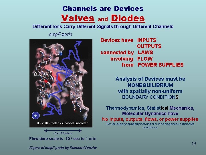 Channels are Devices Valves and Diodes Different Ions Carry Different Signals through Different Channels