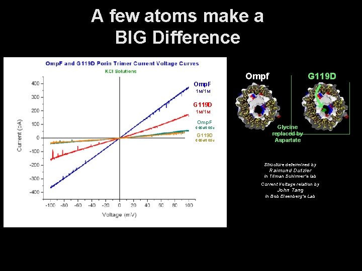 A few atoms make a BIG Difference Omp. F Ompf G 119 D 1