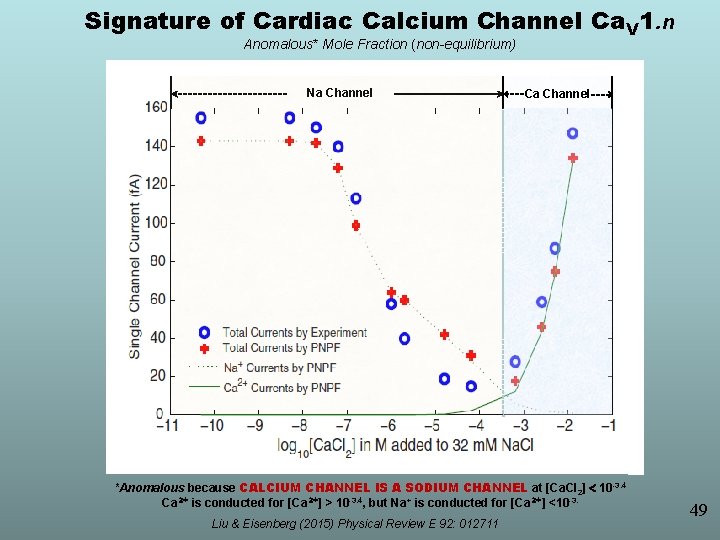 Signature of Cardiac Calcium Channel Ca. V 1. n Anomalous* Mole Fraction (non-equilibrium) Na