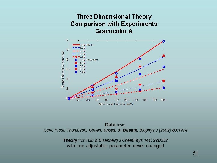 Three Dimensional Theory Comparison with Experiments Gramicidin A 51 