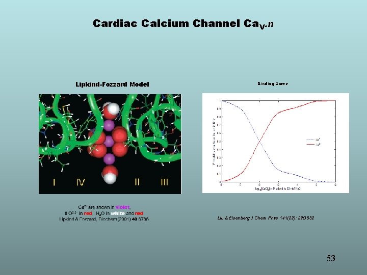 Cardiac Calcium Channel Ca. V. n Lipkind-Fozzard Model Binding Curve Liu & Eisenberg J