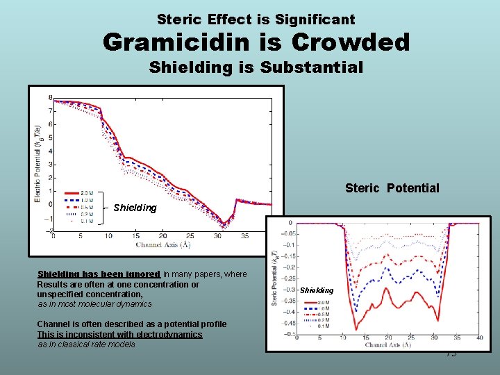 Steric Effect is Significant Gramicidin is Crowded Shielding is Substantial Electric Potential Steric Potential