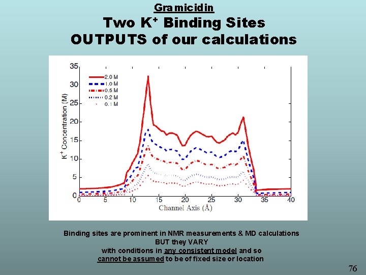 Gramicidin Two K+ Binding Sites OUTPUTS of our calculations Binding sites are prominent in