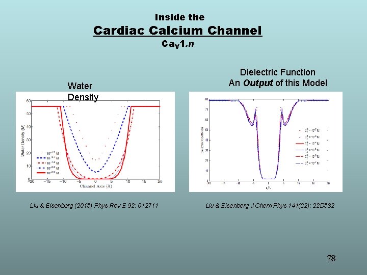 Inside the Cardiac Calcium Channel Ca. V 1. n Water Density Liu & Eisenberg