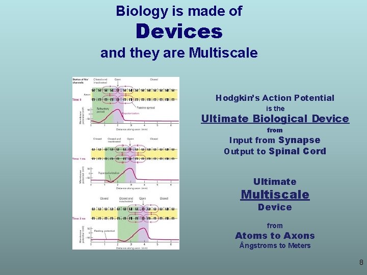 Biology is made of Devices and they are Multiscale Hodgkin’s Action Potential is the