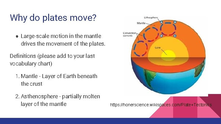 Why do plates move? ● Large-scale motion in the mantle drives the movement of