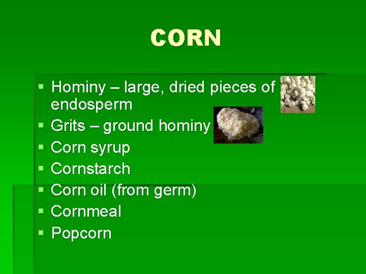 CORN § Hominy – large, dried pieces of endosperm § Grits – ground hominy