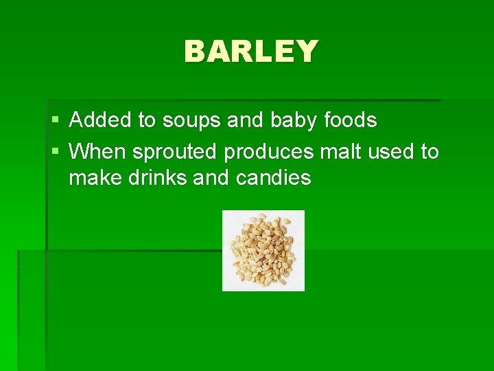 BARLEY § Added to soups and baby foods § When sprouted produces malt used