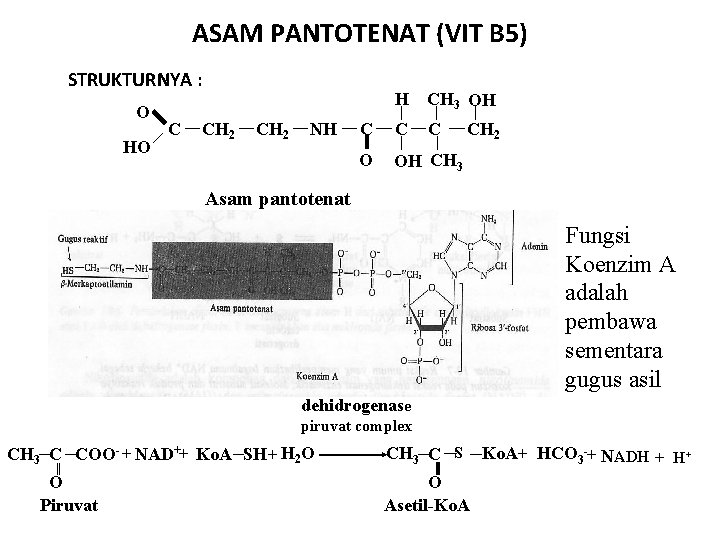 ASAM PANTOTENAT (VIT B 5) STRUKTURNYA : O HO C CH 2 NH H