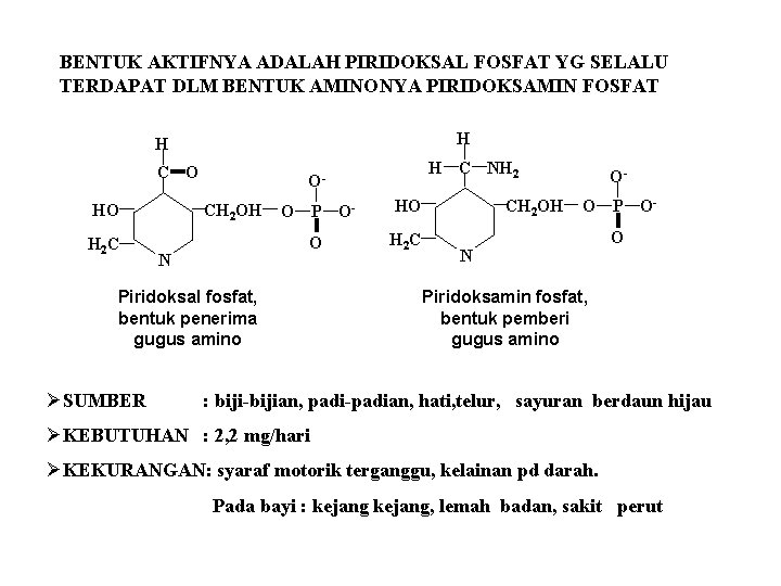 BENTUK AKTIFNYA ADALAH PIRIDOKSAL FOSFAT YG SELALU TERDAPAT DLM BENTUK AMINONYA PIRIDOKSAMIN FOSFAT H