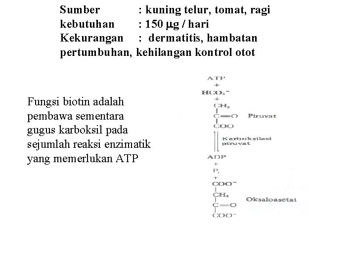 Sumber : kuning telur, tomat, ragi kebutuhan : 150 g / hari Kekurangan :