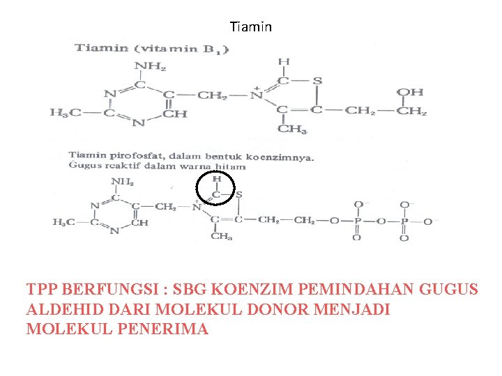 Tiamin TPP BERFUNGSI : SBG KOENZIM PEMINDAHAN GUGUS ALDEHID DARI MOLEKUL DONOR MENJADI MOLEKUL