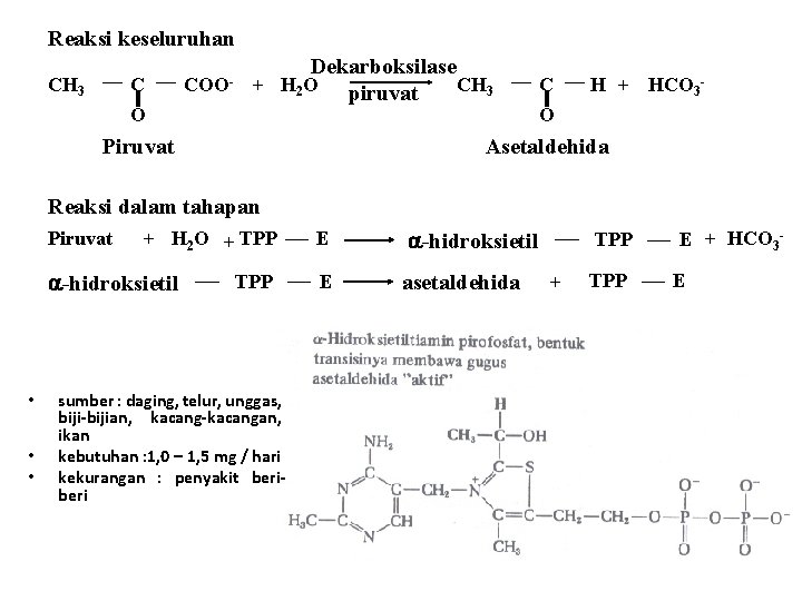 Reaksi keseluruhan CH 3 C O COO- Dekarboksilase + H 2 O piruvat CH