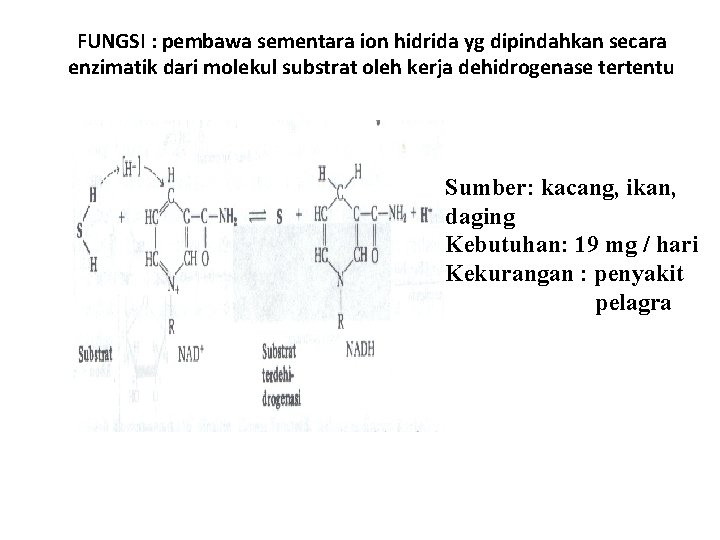 FUNGSI : pembawa sementara ion hidrida yg dipindahkan secara enzimatik dari molekul substrat oleh