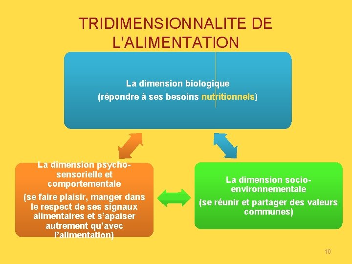 TRIDIMENSIONNALITE DE L’ALIMENTATION La dimension biologique (répondre à ses besoins nutritionnels) La dimension psychosensorielle