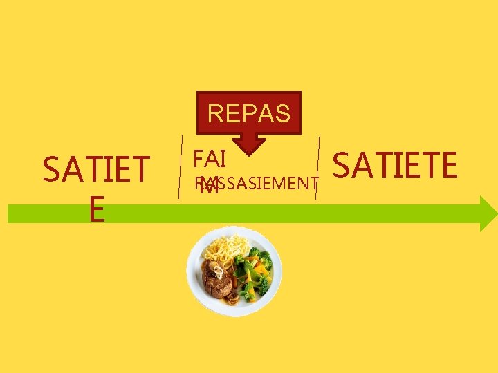 REPAS SATIET E FAI RASSASIEMENT M SATIETE 