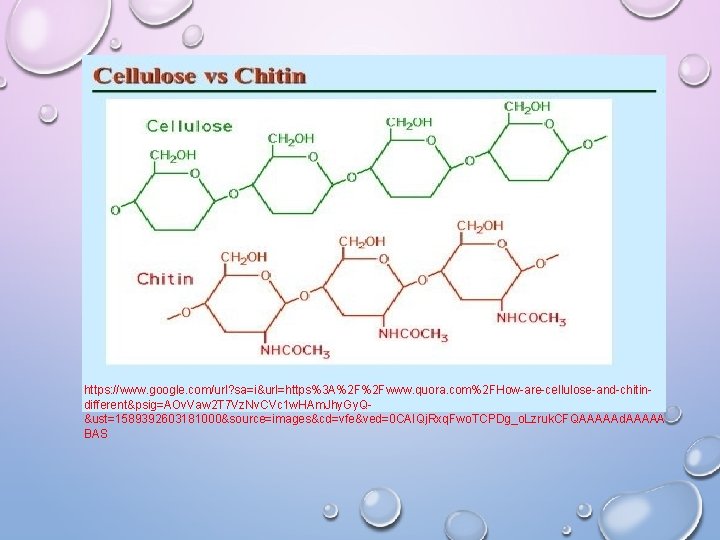 https: //www. google. com/url? sa=i&url=https%3 A%2 F%2 Fwww. quora. com%2 FHow-are-cellulose-and-chitindifferent&psig=AOv. Vaw 2 T