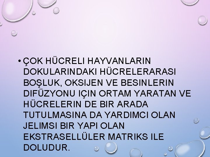  • ÇOK HÜCRELI HAYVANLARIN DOKULARINDAKI HÜCRELERARASI BOŞLUK, OKSIJEN VE BESINLERIN DIFÜZYONU IÇIN ORTAM